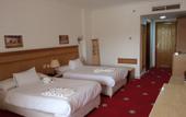 Туры в отель Regency Pyramids Hotel