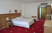 Туры в отель Regency Pyramids Hotel