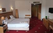Туры в отель Regency Pyramids Hotel
