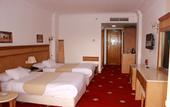 Туры в отель Regency Pyramids Hotel