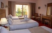 Туры в отель Regency Pyramids Hotel