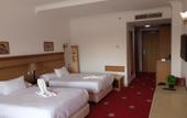 Туры в отель Regency Pyramids Hotel