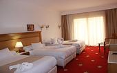 Туры в отель Regency Pyramids Hotel