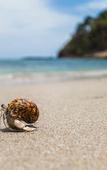 Туры в отель Anda Lanta Resort
