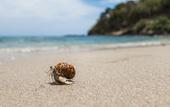 Туры в отель Anda Lanta Resort