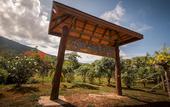 Туры в отель Anda Lanta Resort