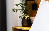 Туры в отель Pame House