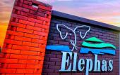 Туры в отель Elephas Resort & Spa