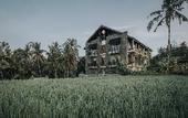 Туры в отель The Ning Ubud Resort