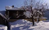 Туры в отель Familien Brandner