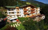 Туры в отель Familienhotel Seetal