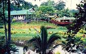 Туры в отель Sepilok Jungle Resort
