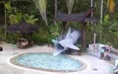 Туры в отель Sepilok Jungle Resort