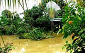 Туры в отель Sepilok Jungle Resort