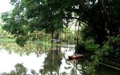Туры в отель Sepilok Jungle Resort