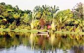 Туры в отель Sepilok Jungle Resort