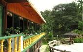 Туры в отель Sepilok Jungle Resort