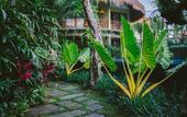 Туры в отель Honai Resort