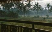 Туры в отель Honai Resort