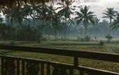 Туры в отель Honai Resort