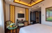 Туры в отель The Saga Hotel Hoi An
