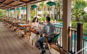 Туры в отель The Saga Hotel Hoi An