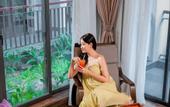 Туры в отель The Saga Hotel Hoi An