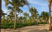 Туры в отель Bliss Hoi An Beach Resort And Wellness