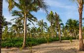 Туры в отель Bliss Hoi An Beach Resort And Wellness