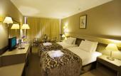 Туры в отель Fantasia Hotel De Luxe
