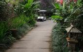 Туры в отель Munduk Moding Plantation Nature Resort and Spa