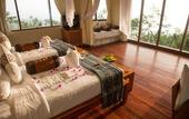 Туры в отель Munduk Moding Plantation Nature Resort and Spa