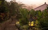 Туры в отель Munduk Moding Plantation Nature Resort and Spa