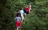 Туры в отель Munduk Moding Plantation Nature Resort and Spa