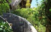 Туры в отель Munduk Moding Plantation Nature Resort and Spa