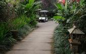 Туры в отель Munduk Moding Plantation Nature Resort and Spa