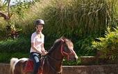 Туры в отель Munduk Moding Plantation Nature Resort and Spa