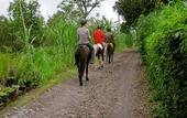 Туры в отель Munduk Moding Plantation Nature Resort and Spa
