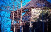 Туры в отель Munduk Heaven Luxury Villas