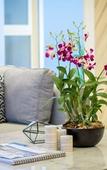 Туры в отель Himmapana Luxury Villas