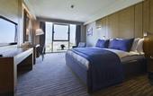 Туры в отель Movenpick Hotel and Thermal Spa Bursa