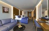 Туры в отель Movenpick Hotel and Thermal Spa Bursa