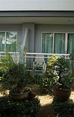 Туры в отель Baan Suksiri Hotel