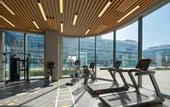 Туры в отель Hilton Garden Inn Beijing Daxing International Airport