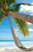 Туры в отель Myrtle Boutique Hotel Phu Quoc
