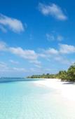 Туры в отель Myrtle Boutique Hotel Phu Quoc