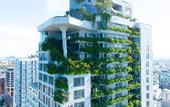 Туры в отель M Hotel Danang