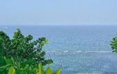 Туры в отель M Hotel Danang