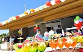 Туры в отель Febeach