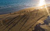 Туры в отель Perolas Villas Resort